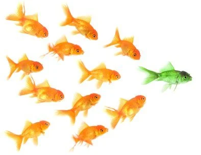 4 Simple Tips for your SCUBA Business to Increase Twitter & Facebook Followers