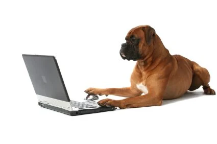 Hiring a Copywriter for your SCUBA Website or Blog