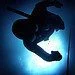 Friday Fun Dive: Underwater Base Jump