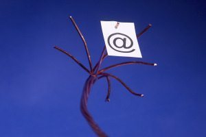 Introduction to Email Marketing for SCUBA